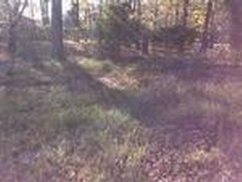 Photo of Mobile Home Lot