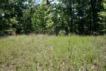 Photo of Mobile Home Lot