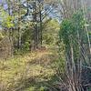 Mobile Home Lot for Sale: Over 3 Acres of Land! Located on a Major Artery!, Pacolet, SC