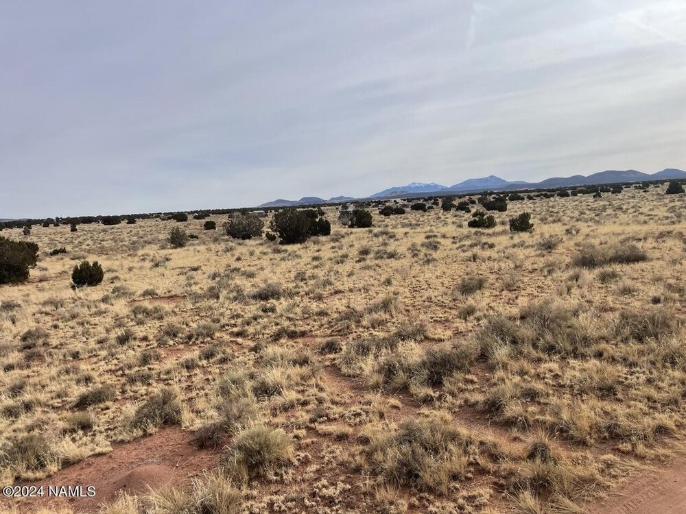 Photo of Mobile Home Lot