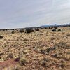 Photo of Mobile Home Lot