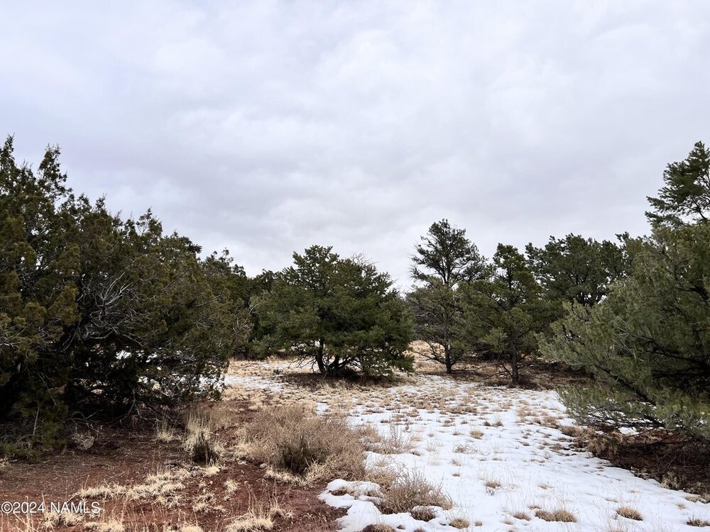Photo of Mobile Home Lot