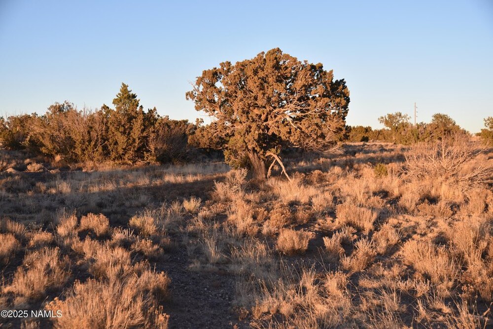 Photo of Mobile Home Lot