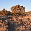 Photo of Mobile Home Lot