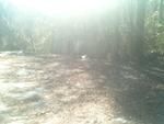Photo of Mobile Home Lot