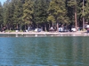 campground from lake