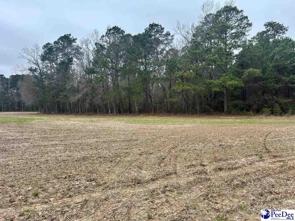 Photo of Mobile Home Lot