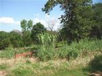 Photo of Mobile Home Lot