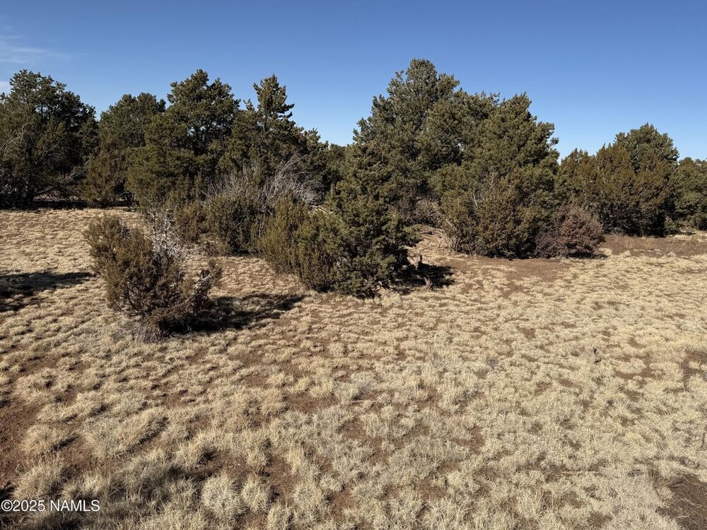 Photo of Mobile Home Lot