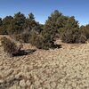Photo of Mobile Home Lot
