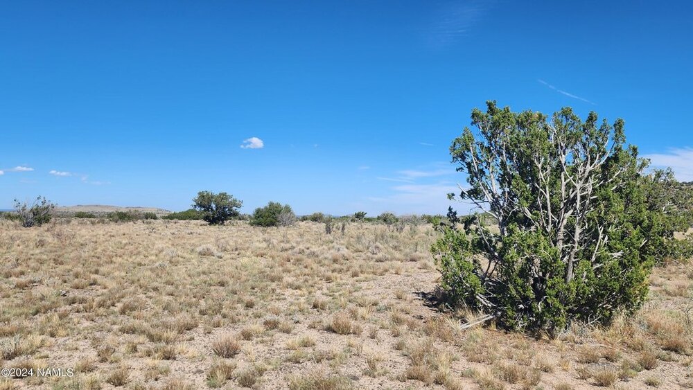 Photo of Mobile Home Lot