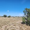 Photo of Mobile Home Lot