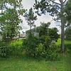 Mobile Home for Sale: 3 Bed 2 Bath 2022 Mobile Home