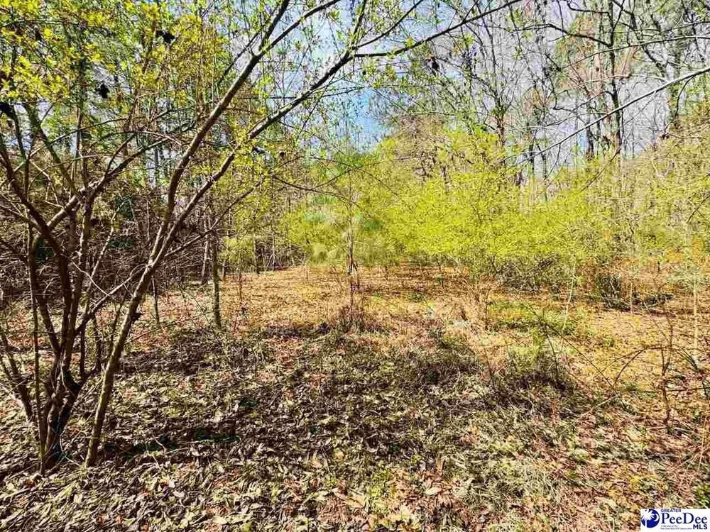 Photo of Mobile Home Lot