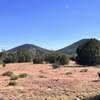 Mobile Home Lot for Sale: Residential/Mobile - Williams, AZ, Williams, AZ