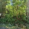 Mobile Home for Sale: 3 Bed 2 Bath 1979 Mobile Home