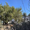 Photo of Mobile Home Lot