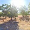 Mobile Home for Sale: 2022 Mobile Home