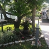 Photo of RV Lot