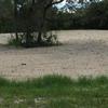 Photo of Mobile Home Park