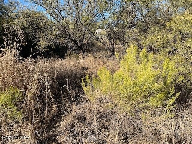 Photo of Mobile Home Lot