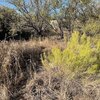 Photo of Mobile Home Lot