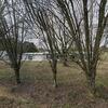 Mobile Home for Sale: 3 Bed 3 Bath 1982 Mobile Home