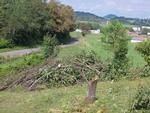 Photo of Mobile Home Lot