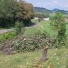 Photo of Mobile Home Lot