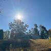 Mobile Home for Sale: 3 Bed 2 Bath 1992 Mobile Home