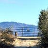 Mobile Home for Sale: 2 Bed 2 Bath 1989 Mobile Home
