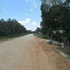 Photo of Mobile Home Lot