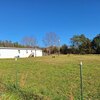 Mobile Home for Sale: Mobile/Manufactured - Tellico Plains, TN, Tellico Plains, TN