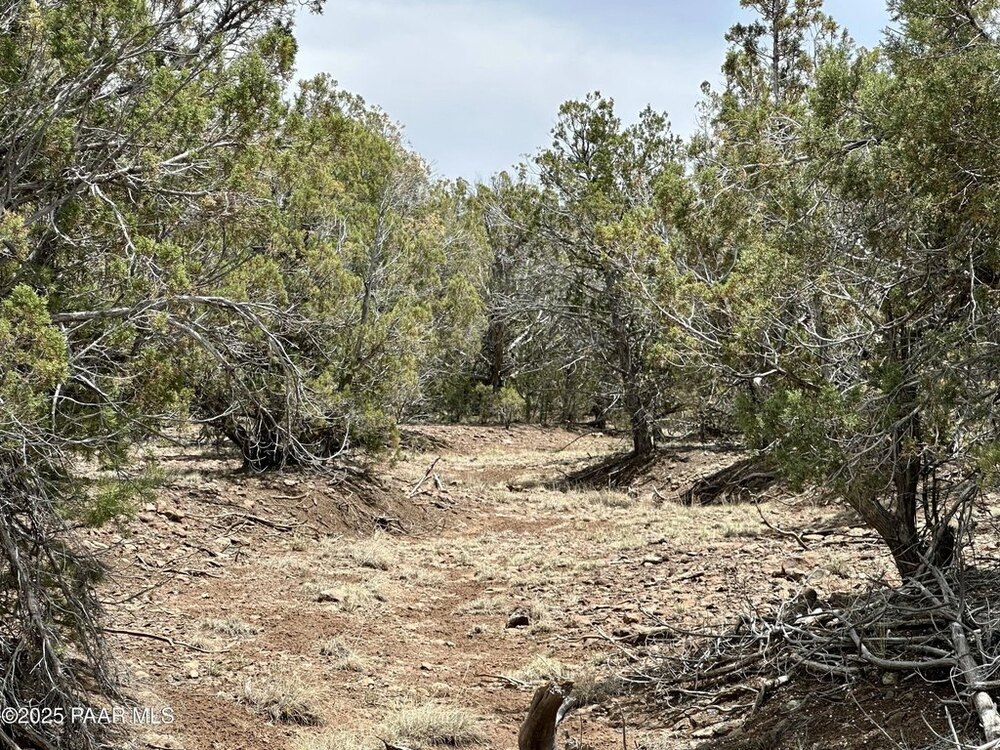 Photo of Mobile Home Lot