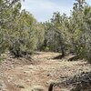 Photo of Mobile Home Lot