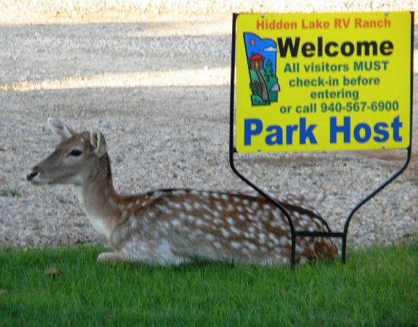 Photo of RV Park/Campground