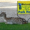 Photo of RV Park/Campground