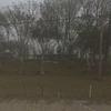 Mobile Home for Sale: 3 Bed 2 Bath 1970 Mobile Home