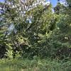 Mobile Home Lot for Sale: In-Town Lot - Affordable Opportunity to Build On, Orangeburg, SC