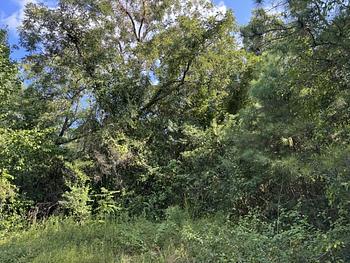 Photo of In-Town Lot - Affordable Opportunity to Build On