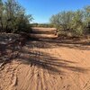 Photo of Mobile Home Lot