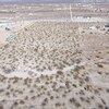 Photo of Mobile Home Lot