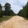 Photo of Mobile Home Lot