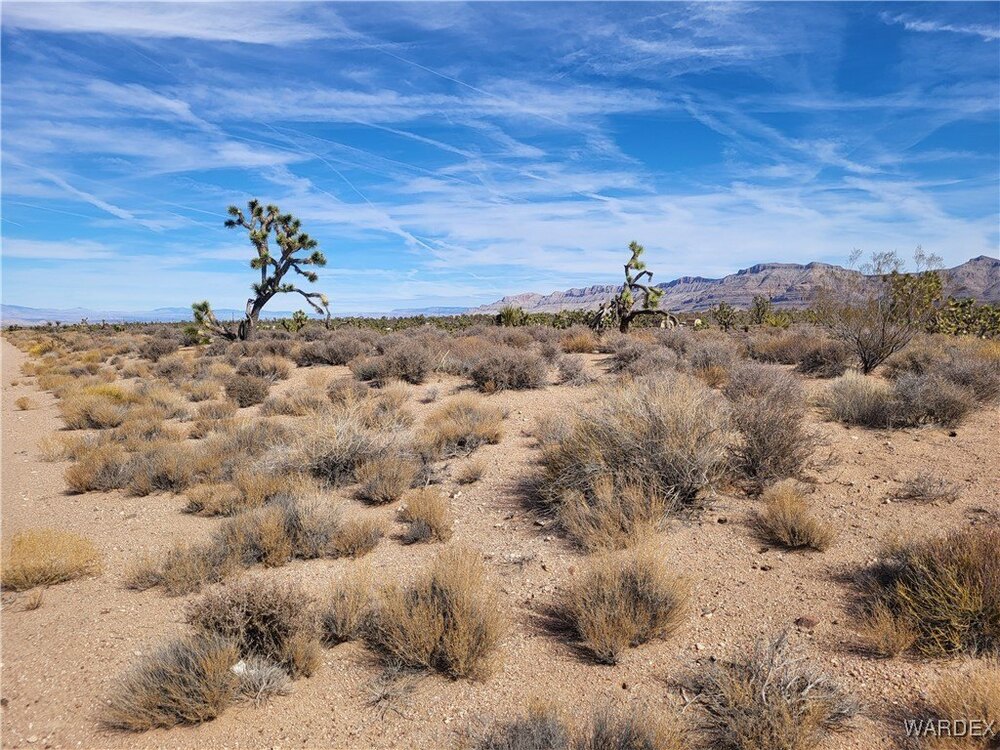 Photo of Mobile Home Lot