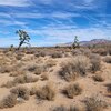 Photo of Mobile Home Lot