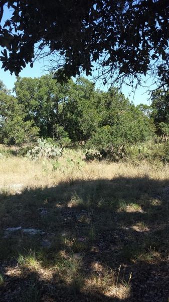 Photo of RV Lot