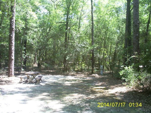 Full Hook Up Site Surrounded by Nature