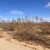 Photo of Mobile Home Lot