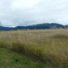 Photo of Mobile Home Lot
