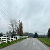 Mobile Home for Sale: 3 Bed 2 Bath 1999 Mobile Home